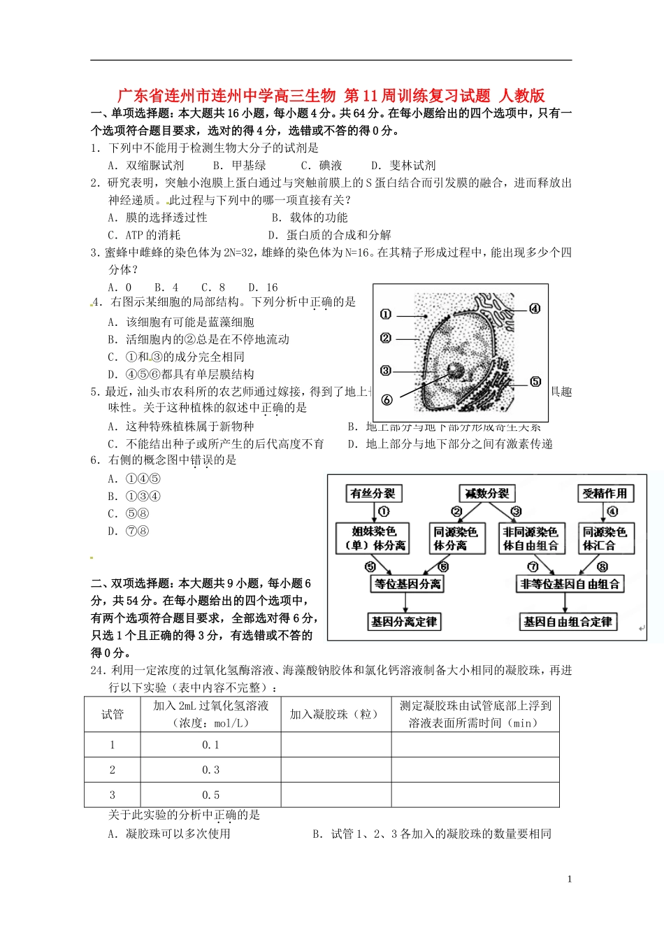 广东省连州市连州中学高三生物-第11周训练复习试题-人教版_第1页