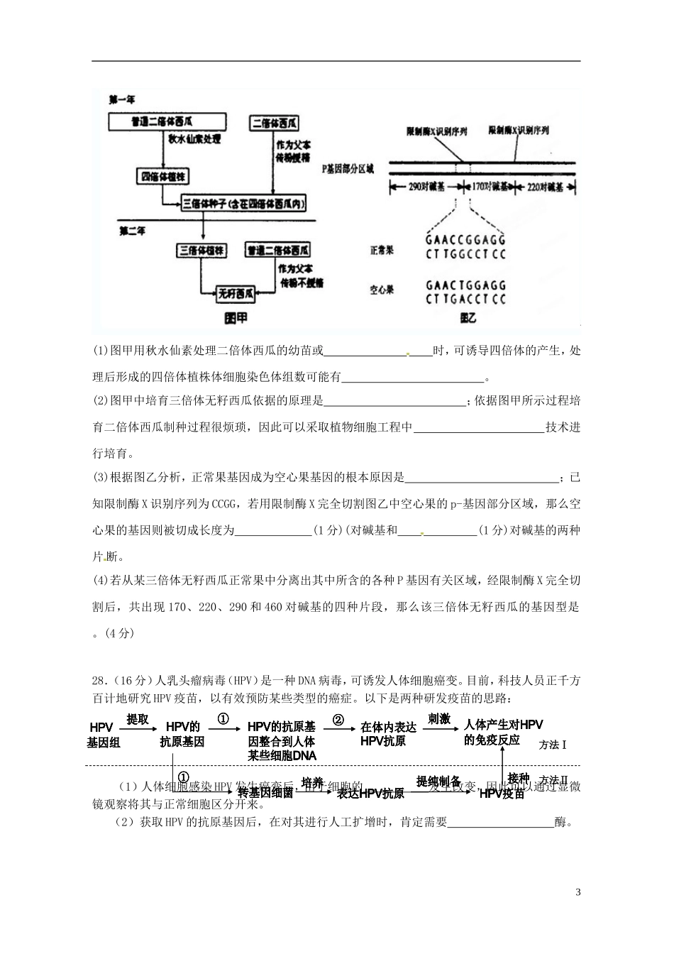 广东省连州市连州中学高三生物-第11周训练复习试题-人教版_第3页