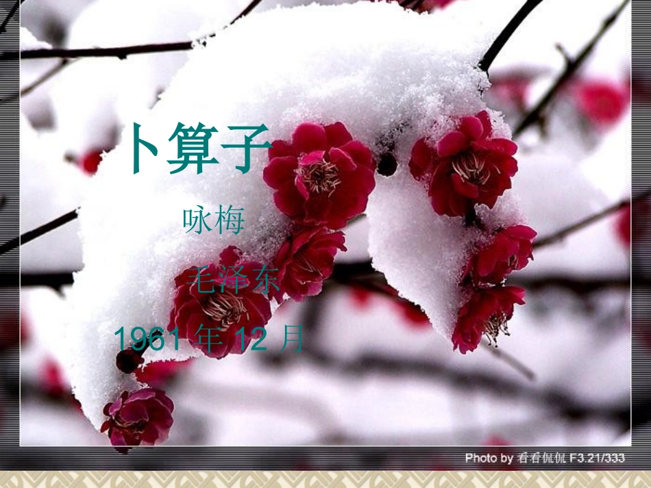 卜算子咏梅课件_第2页