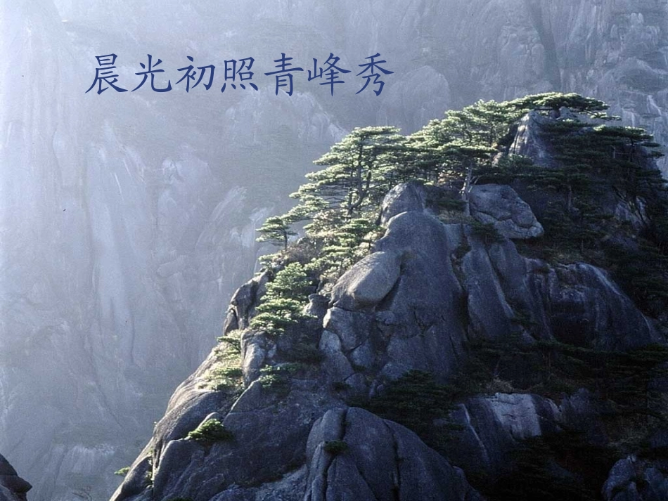 周思凝《黄山奇松》课件_第3页