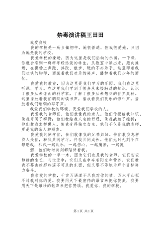 禁毒演讲王田田
