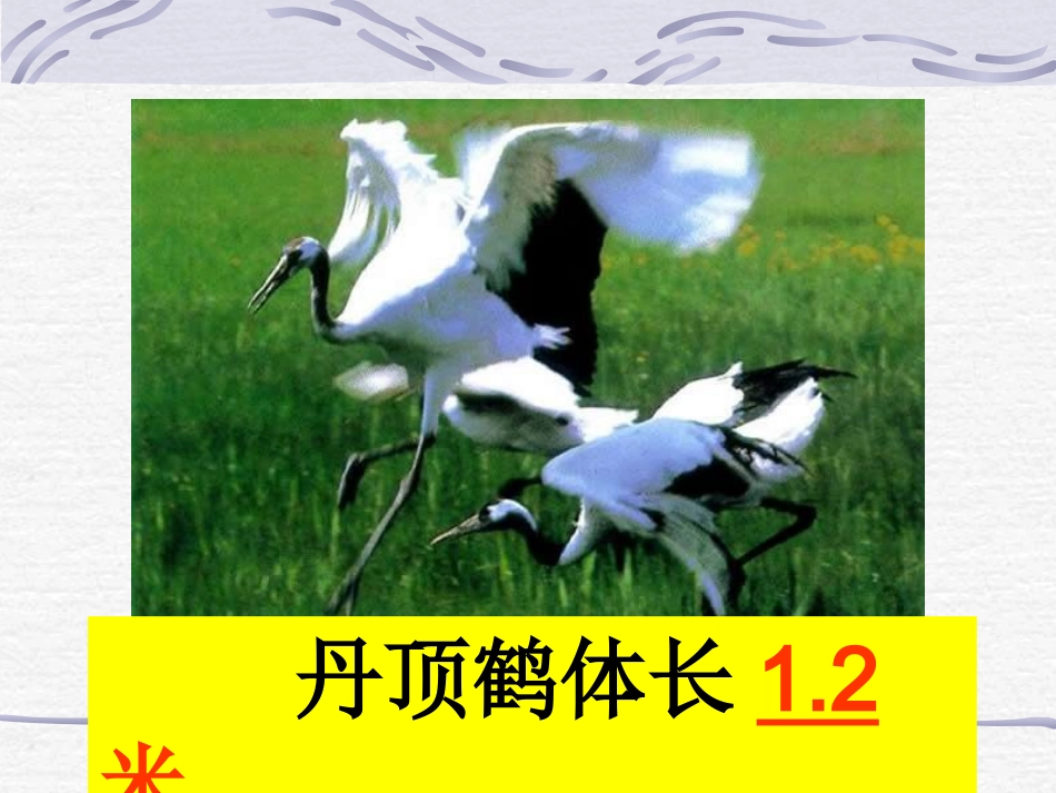 人教2011版小学数学三年级小数的初步认识.ppt(修改好)_第3页