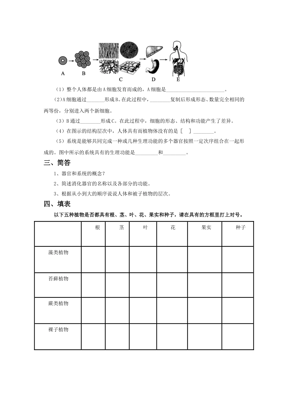 《第3节-生物体的结构层次》习题2_第2页