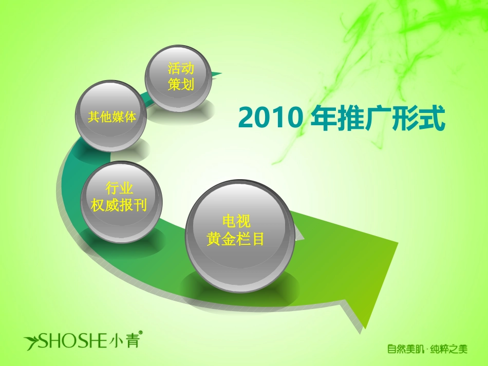2010年某化妆品品牌媒介推广策略媒介计划_第3页