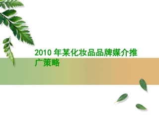 2010年某化妆品品牌媒介推广策略媒介计划