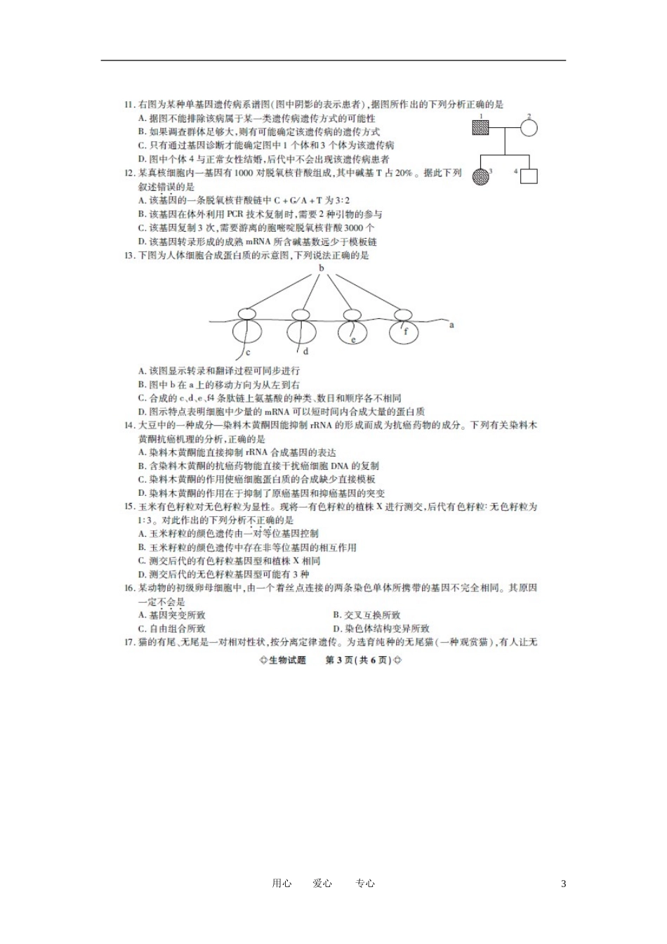 安徽省示范高中2012届高三生物第二次大联考试题(扫描版)_第3页