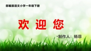 5小公鸡和小鸭子