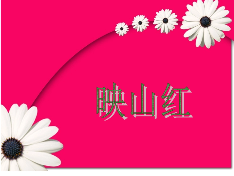《映山红》课件_第1页