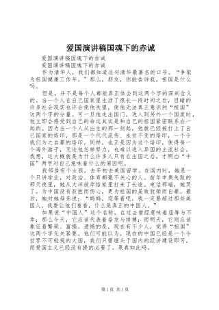 爱国演讲国魂下的赤诚