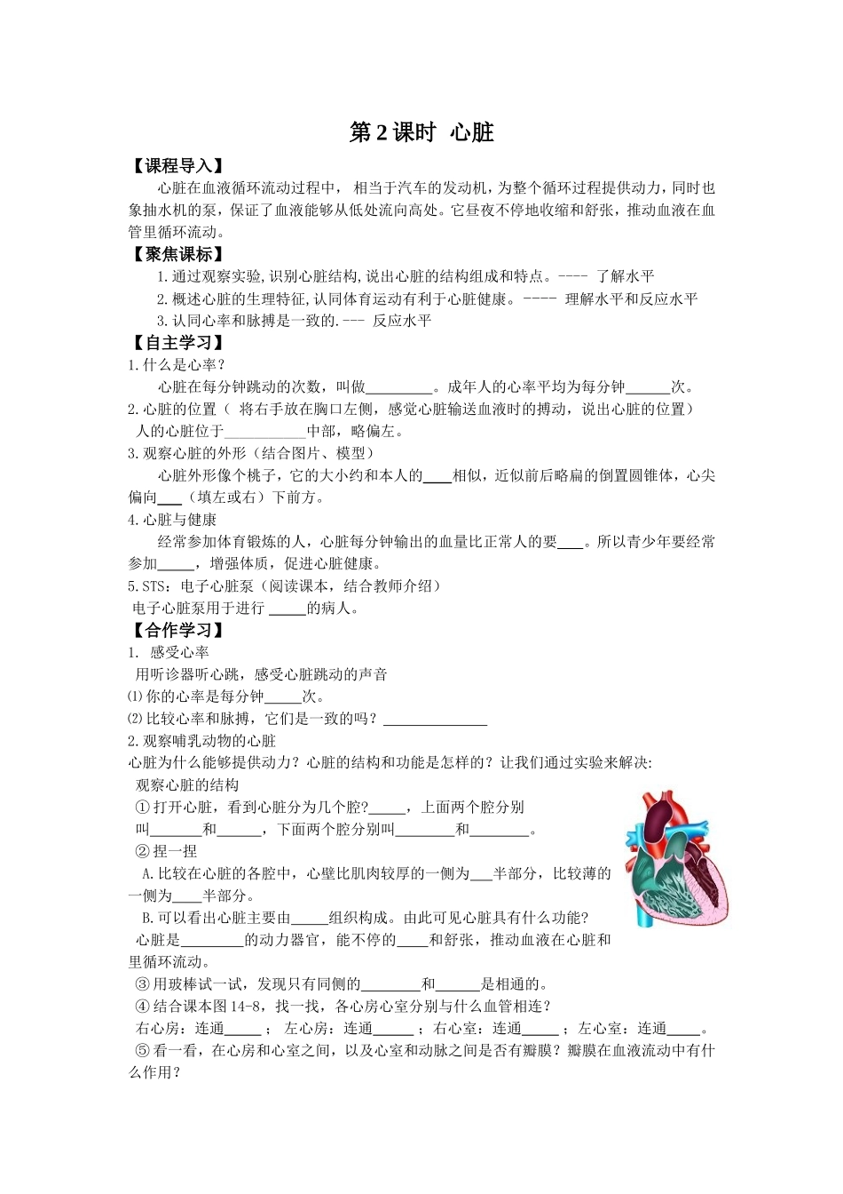 14.1.2心脏_第1页