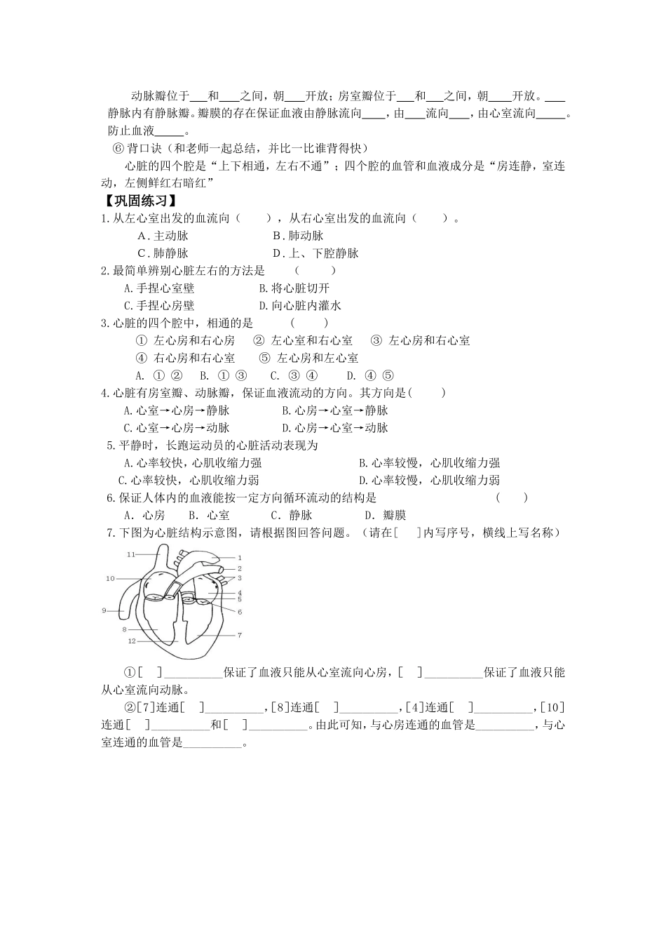 14.1.2心脏_第2页