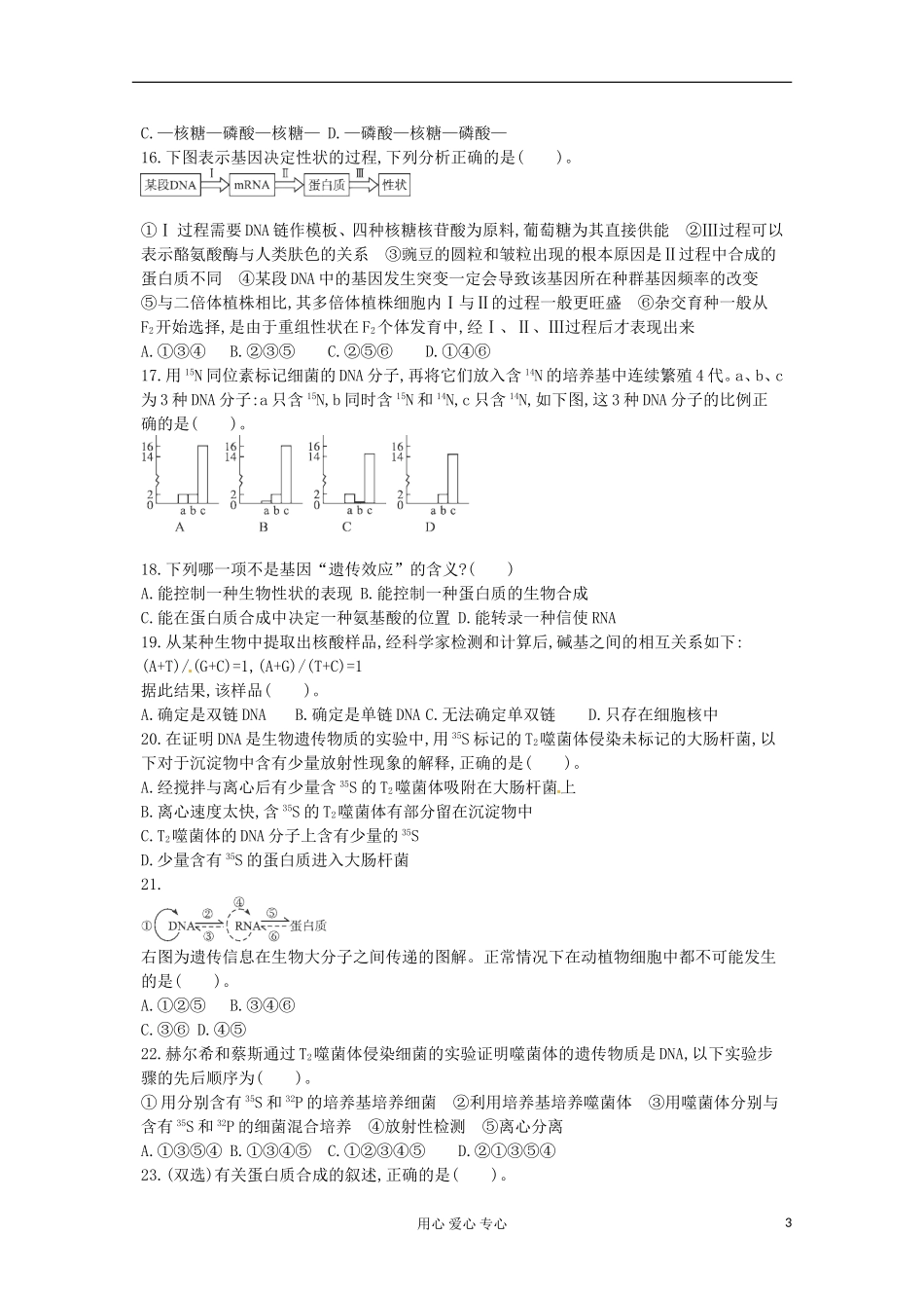 2013届高考生物一轮复习单元同步检测题七-基因的表达_第3页