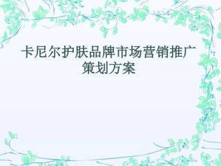 《卡尼尔护肤品牌市场营销推广策划方案》(41页)