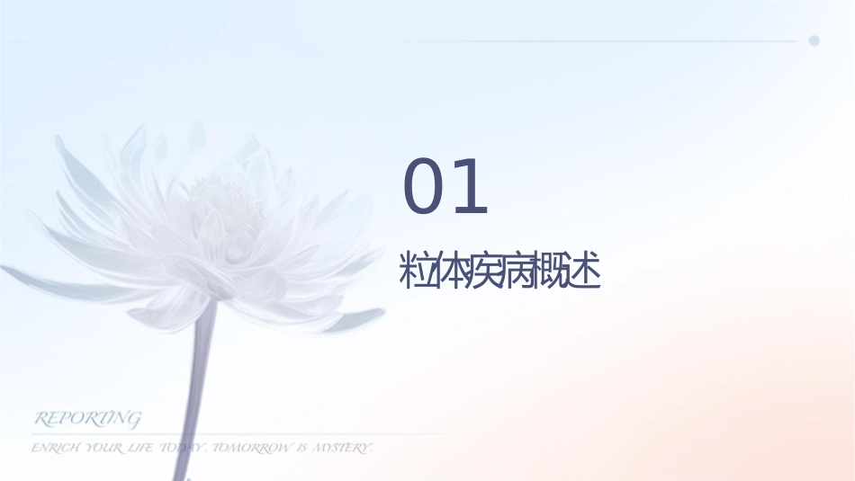 人卫版线粒体疾病遗传教学护理课件1_第3页
