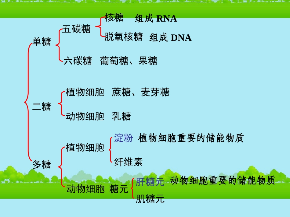 高中生物《有机化合物与生物大分子》课件18-浙科版必修1_第3页