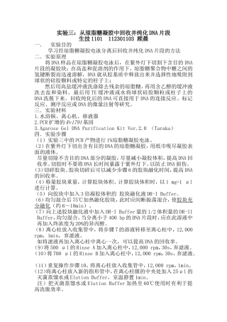 实验三、从琼脂糖凝胶中回收并纯化DNA