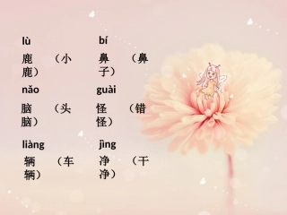 《美丽的小路》生字学习