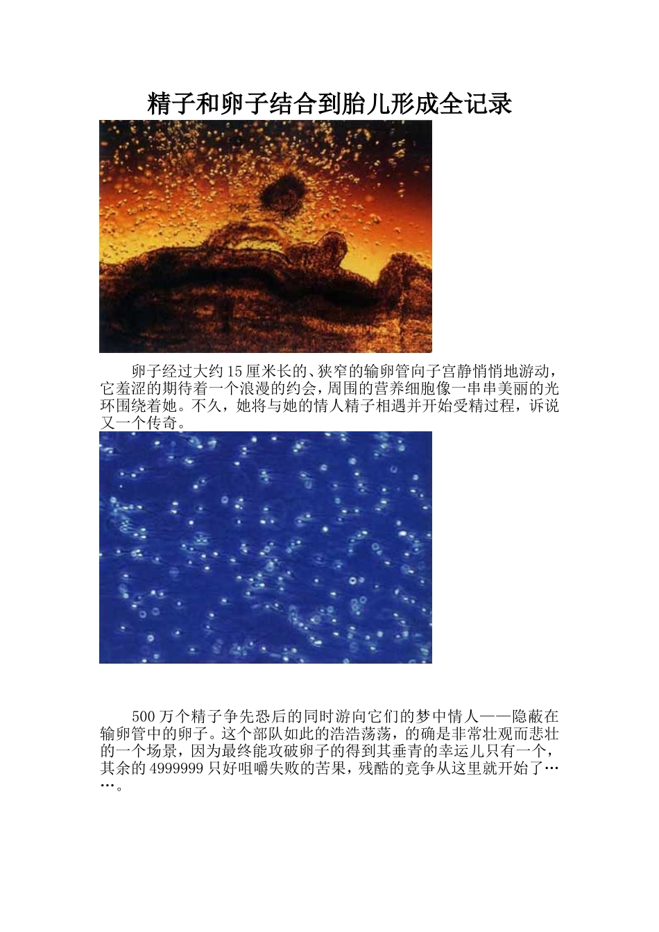 精子及卵子结合到胎儿形成全记录_第1页