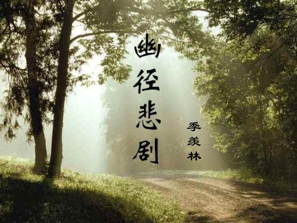 幽径悲剧吕pptx_第3页