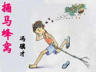 捅马蜂窝-第一课时--荆州市沙市第九中学胡丹