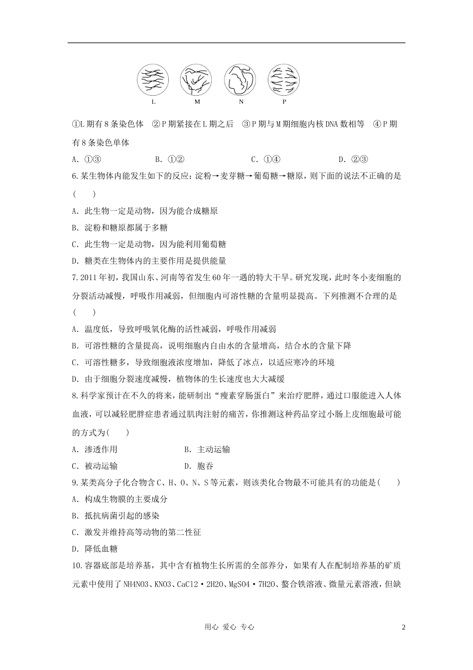 2012高三生物二轮复习-综合模拟试题28_第2页