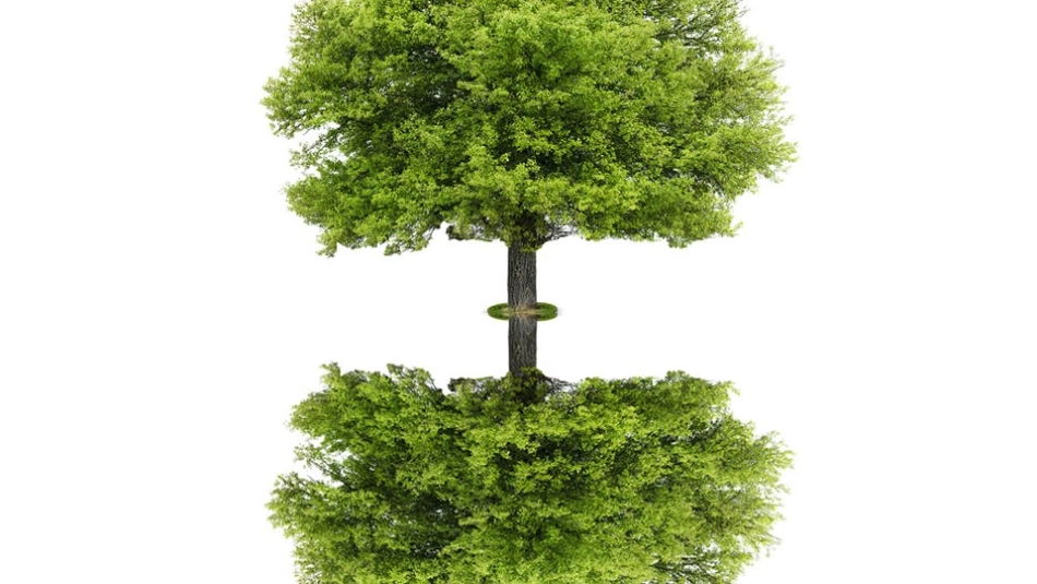 (部编)人教2011课标版一年级上册语文园地四-第一课时_第2页