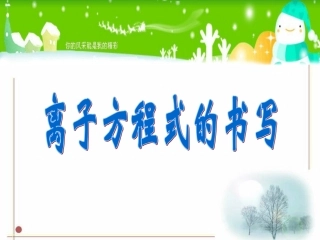 离子方程式的书写