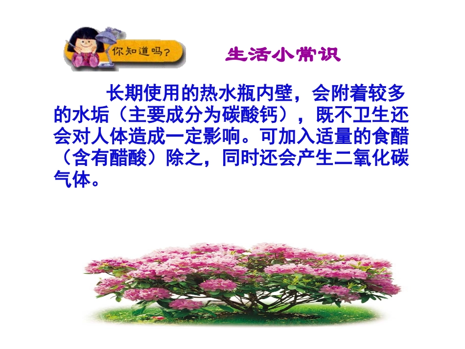 二氧化碳的制取_第2页