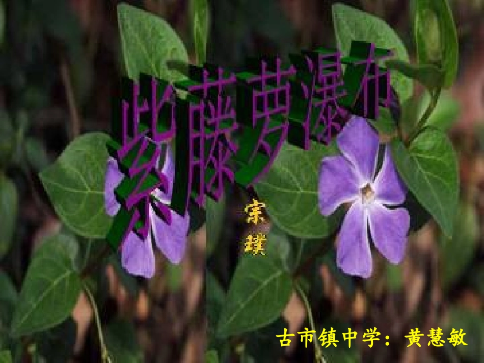 (部编)初中语文人教2011课标版七年级下册《紫藤萝瀑布》-(6)_第1页