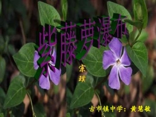 (部编)初中语文人教2011课标版七年级下册《紫藤萝瀑布》-(6)