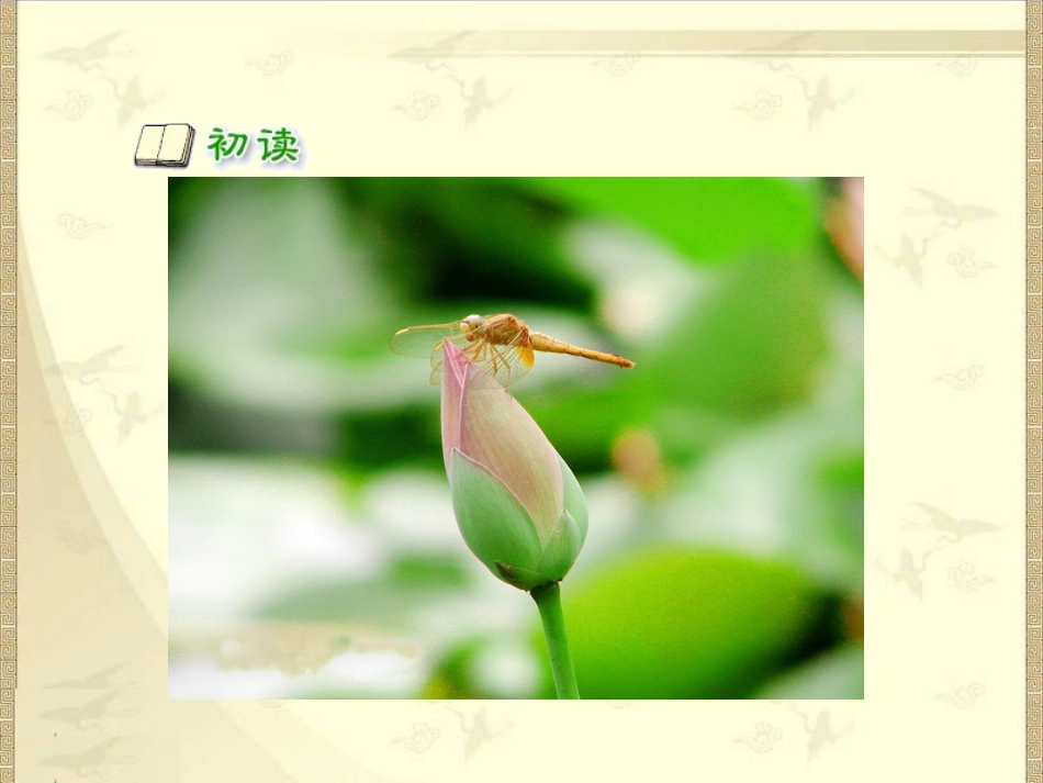 古诗两首《小池》课件_第3页