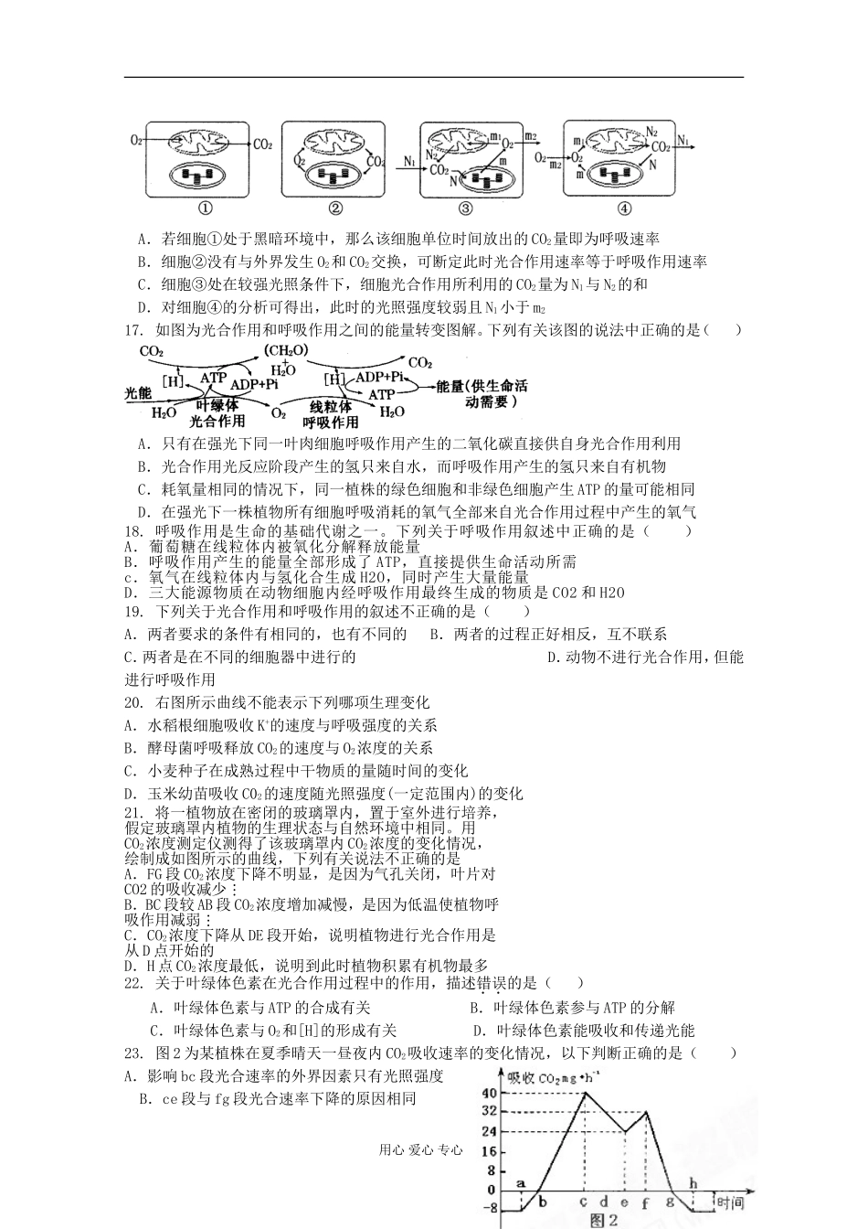 山东省2012届高三生物-《细胞的能量供应和利用》单元测试5-新人教版必修1_第3页