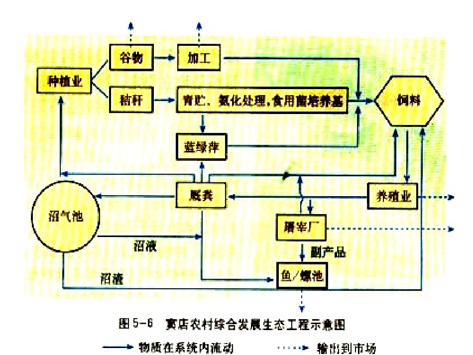 5.2-生态工程的实例和发展前景_第3页