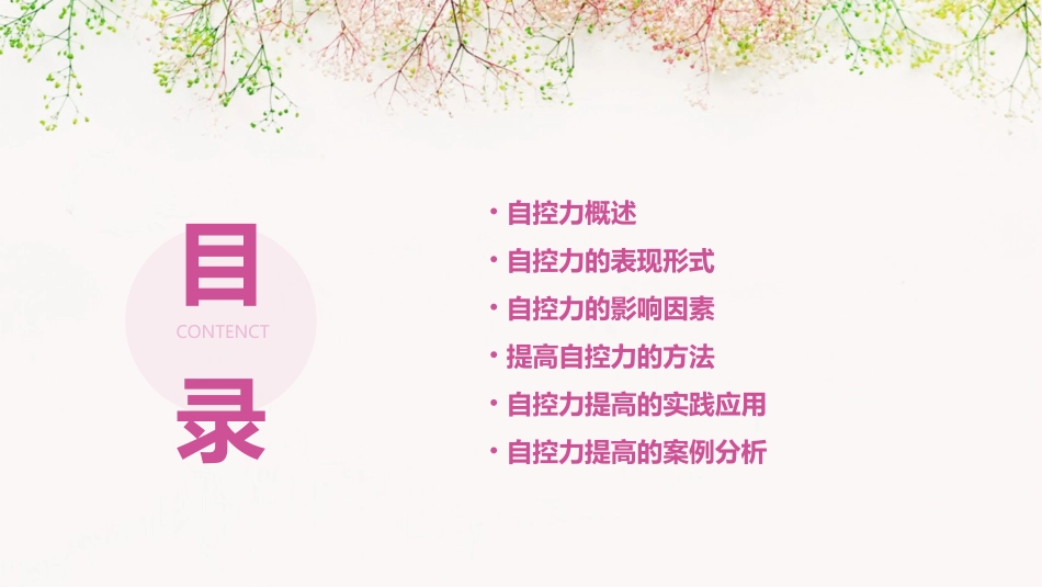 第四次团体心理课自控力及自控力的提高课件_第2页