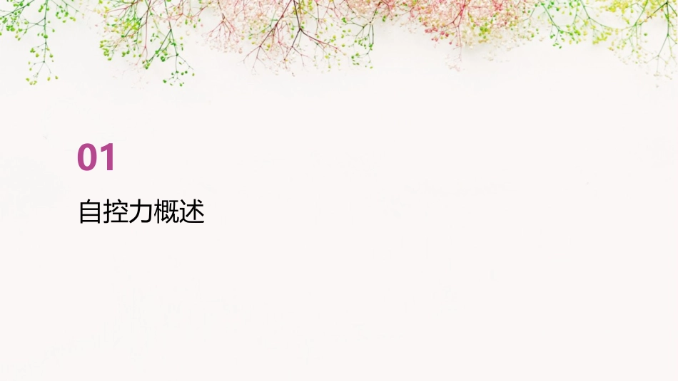 第四次团体心理课自控力及自控力的提高课件_第3页