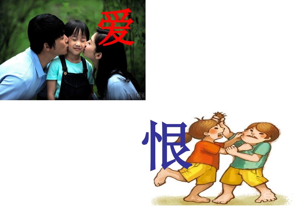 7.植物之间的“爱”和“恨”_第1页