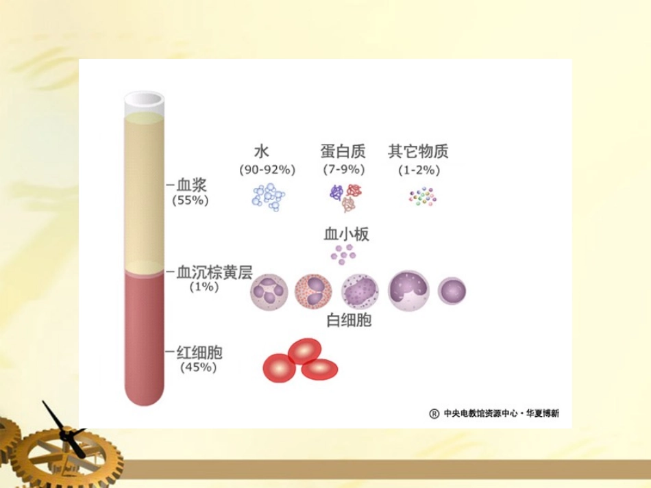 七年级生物下册-流动的组织——血液-课件-人教新课标版_第3页