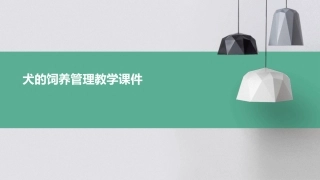 犬的饲养管理教学课件