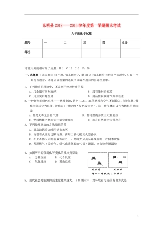 山东省东明县2012-2013年九年级化学第一学期期末考试试题-新人教版