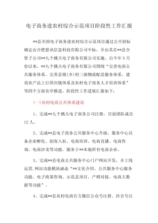 电子商务进农村综合示范项目阶段性工作汇报