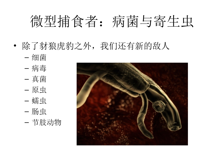 疾病的心理防御：人类如何应对病菌威胁_第3页