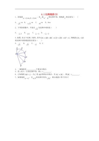 浙江省慈溪市横河初级中学九年级数学上册-4.1比例线段课时训练(3)-浙教版