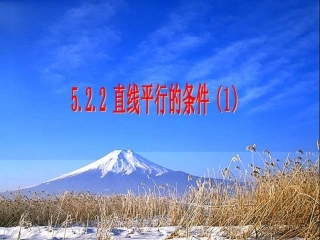 直线平行的条件