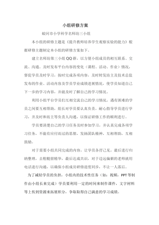 小组研修方案
