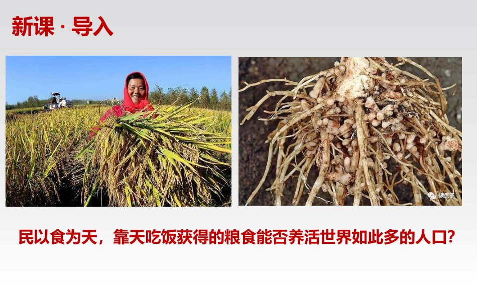 4、化学反应条件的优化——工业合成氨_第2页