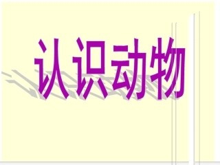 松鼠和松果课件123