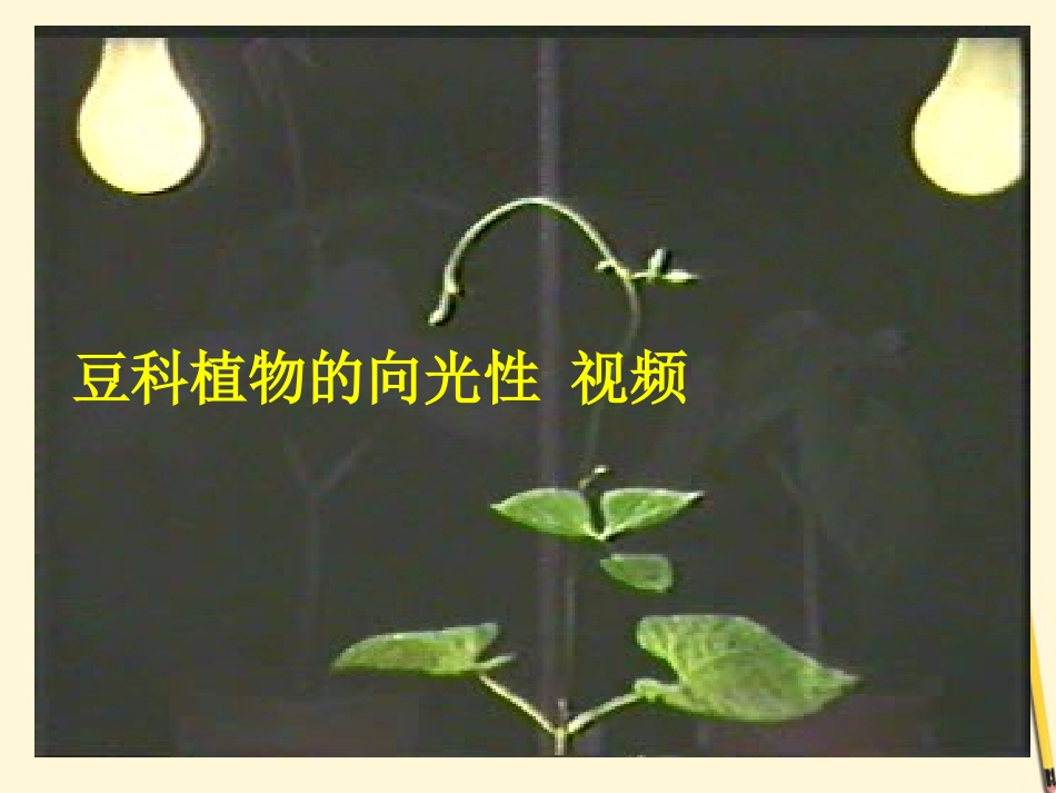 浙江省台州温岭市松门镇育英中学八年级科学上册-3.2-神奇的激素(第1课时)课件-浙教版_第2页