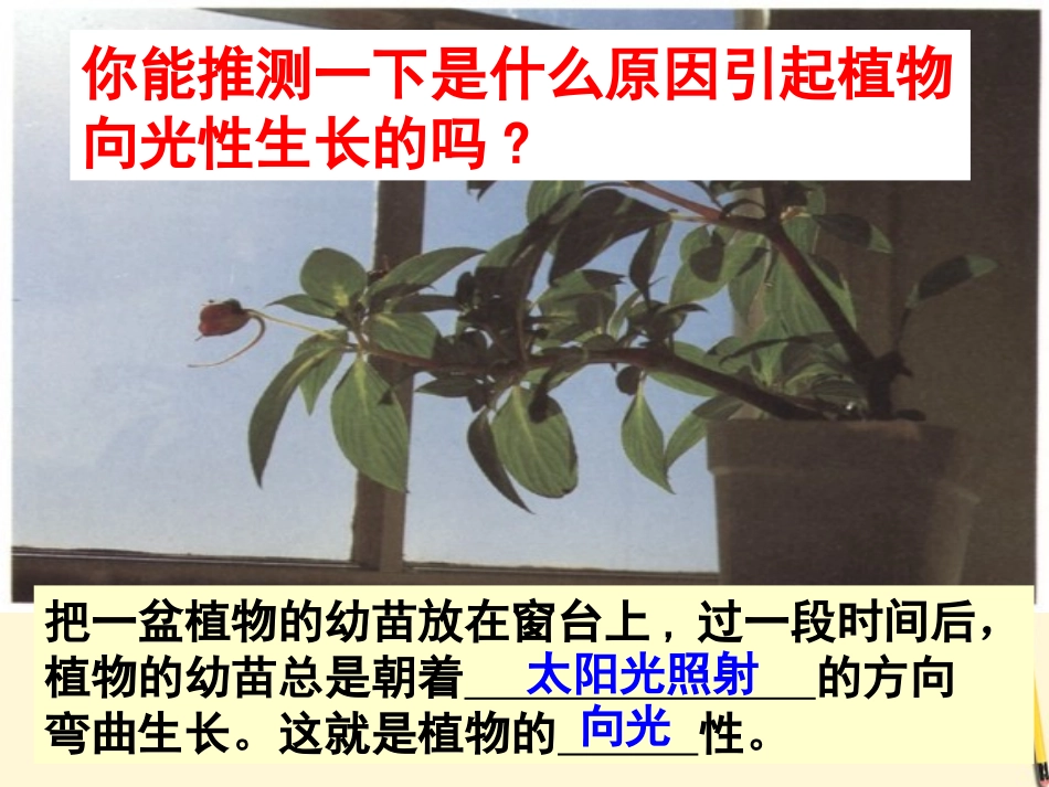 浙江省台州温岭市松门镇育英中学八年级科学上册-3.2-神奇的激素(第1课时)课件-浙教版_第3页