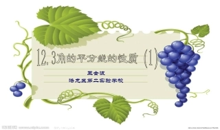 角的平分线------课件