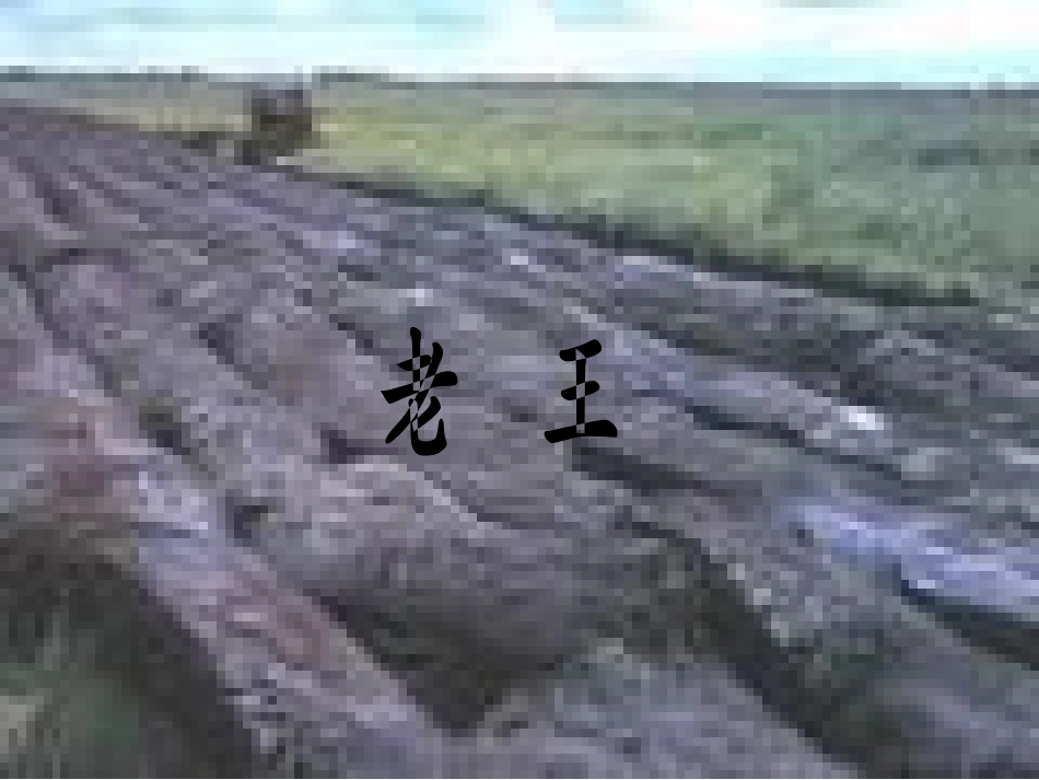 (部编)初中语文人教2011课标版七年级下册老王课件-(19)_第1页